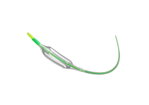 冠脉棘突.png